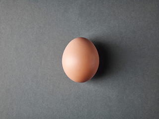 Image showing fresh brown egg on gray background