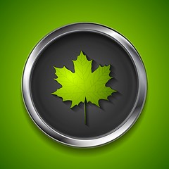 Image showing Green summer maple leaf on metal button