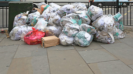 Image showing Clear Trash Bags