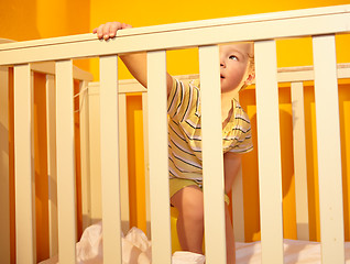 Image showing Little boy stands in bed