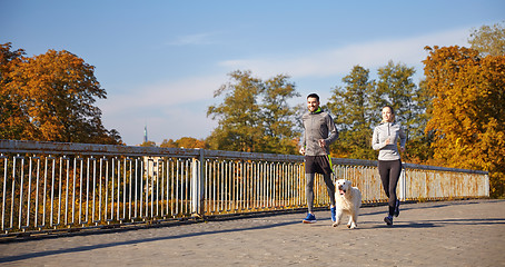 Image showing happy couple with dog running outdoors