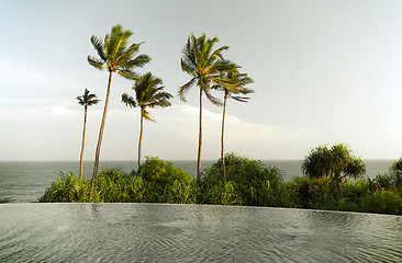 Image showing view from infinity edge pool to ocean and palms