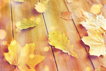 Image showing close up of many different fallen autumn leaves