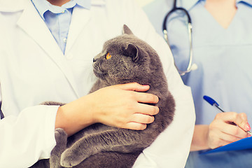 Image showing close up of vet with cat and clipboard at clinic