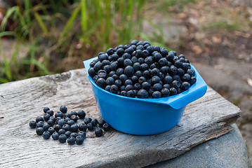 Image showing Bowl with blueberries.