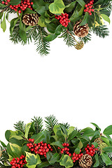 Image showing Winter Border with Holly and Flora