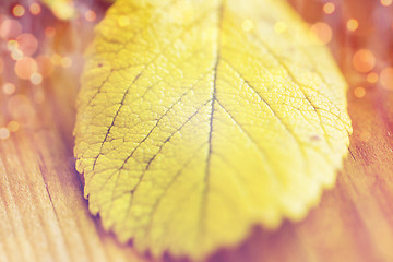 Image showing close up of yellow autumn leaf on wooden table