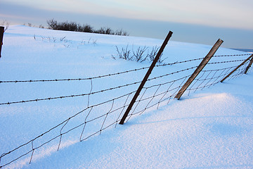 Image showing Winter fence