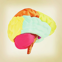 Image showing Colorfull human brain. 3D illustration. Vintage style.