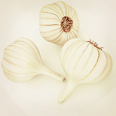 Image showing Head of garlic. 3D illustration. Vintage style.