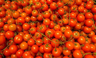 Image showing many small cherry tomatoes in the market