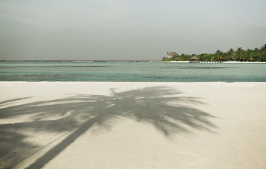 Image showing maldives island beach with palm tree and villa