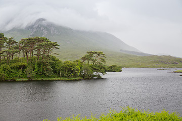 Image showing view to island in lake or river at ireland