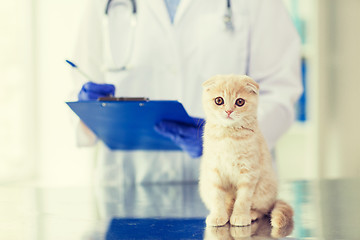 Image showing close up of vet with clipboard and cat at clinic