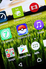 Image showing Pokemon Go App