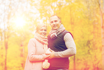 Image showing smiling couple in autumn park