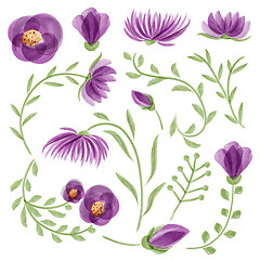 Image showing Watercolor vector floral set