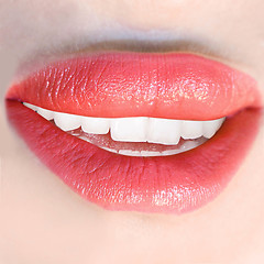 Image showing Natural lips