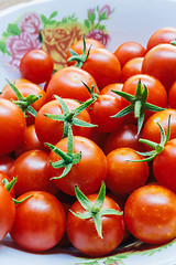 Image showing Group of fresh tomatoes