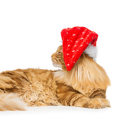 Image showing Big ginger cat in christmas hat