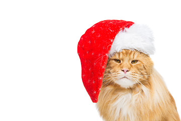 Image showing Big ginger cat in christmas hat