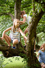 Image showing happy kids climbing up tree in summer park