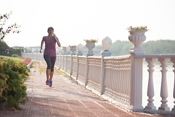 Image showing sporty woman jogging