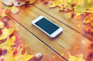 Image showing smartphone with autumn leaves, fruits and berries