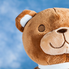 Image showing Lovely Teddy Bear