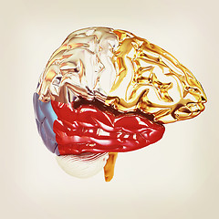 Image showing Colorfull human brain. 3D illustration. Vintage style.