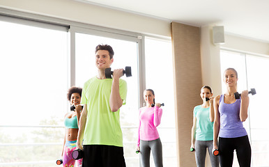 Image showing group of smiling people exercising with dumbbells