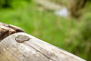 Image showing close up of wooden fence outdoors