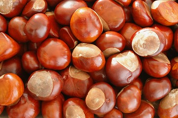 Image showing Chestnuts