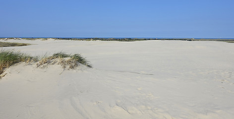 Image showing Sand dune