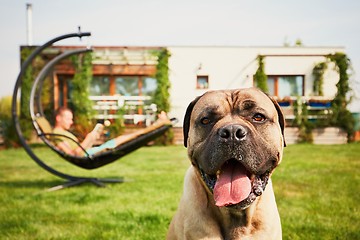 Image showing Man with dog on the garden