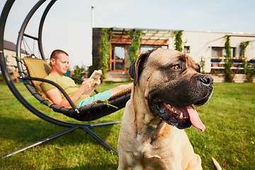 Image showing Man with dog on the garden