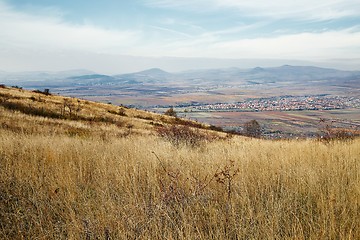 Image showing Dry autumn meadow