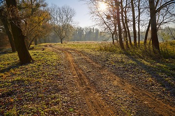 Image showing Autumn morning landscape