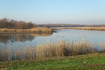 Image showing Lakeside autumn landscape