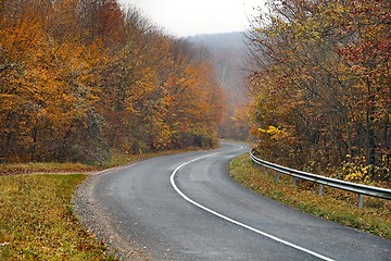 Image showing Autumn Road