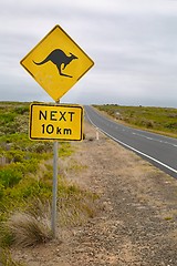 Image showing Kangaroo warning sign