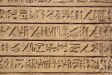 Image showing Ancient Hieroglyphic Script