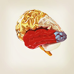 Image showing Colorfull human brain. 3D illustration. Vintage style.