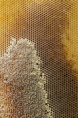 Image showing Honeycombs filled with honey closeup.