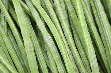 Image showing Drumstick Vegetable or Moringa