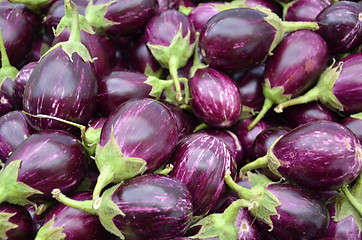 Image showing Raw ripe Eggplant