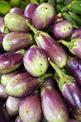 Image showing Raw ripe Eggplant