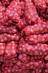 Image showing Sacs containing Large onion stacked for sale