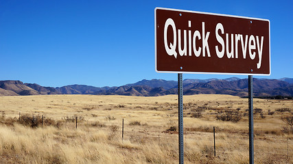 Image showing Quick Survey brown road sign