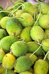 Image showing Raw spiny gourd